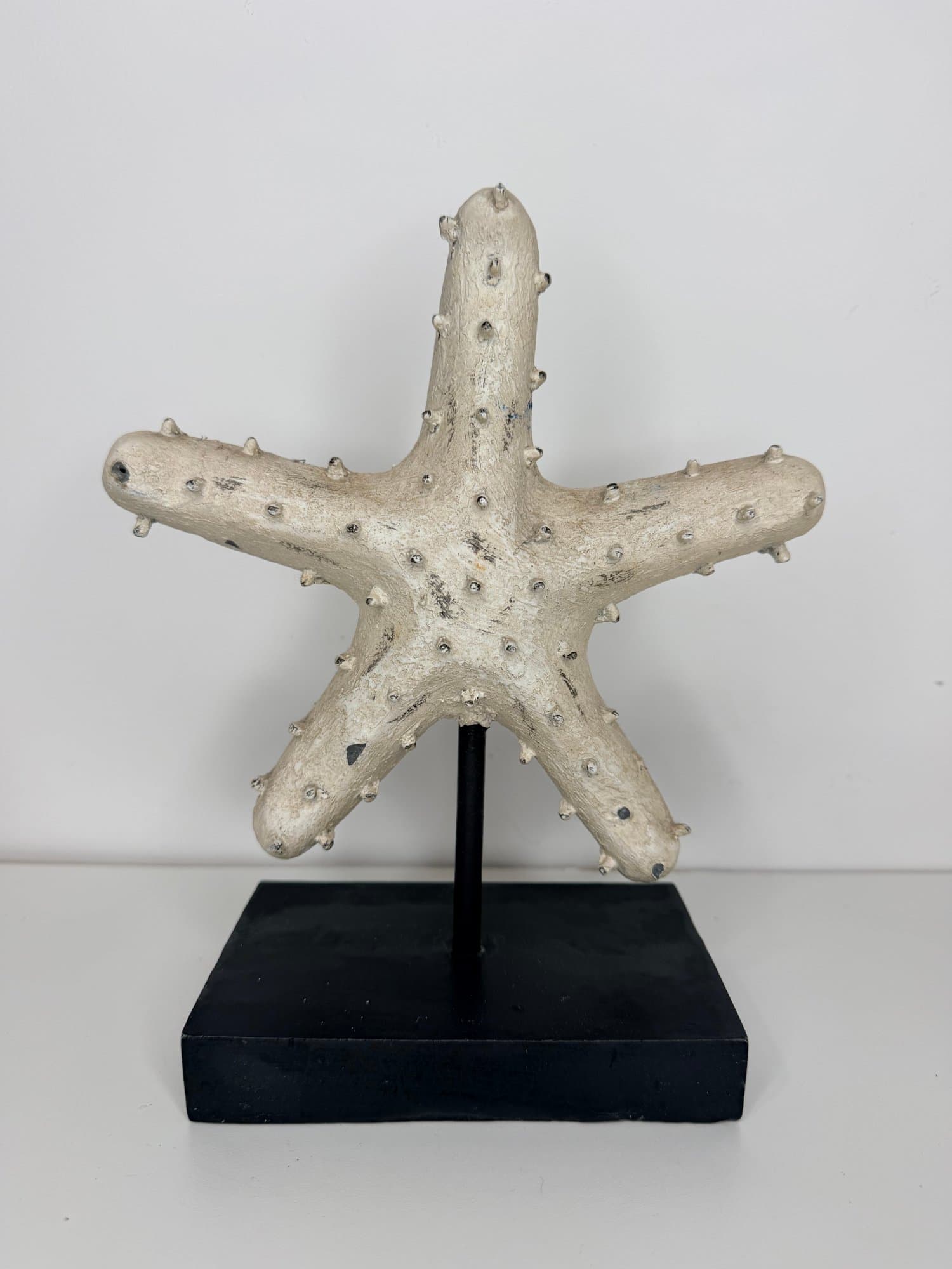 Decorative starfish sculpture on museum stand