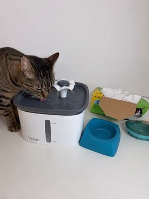 Cat Water Fountain Tunnel Toy And Supplies